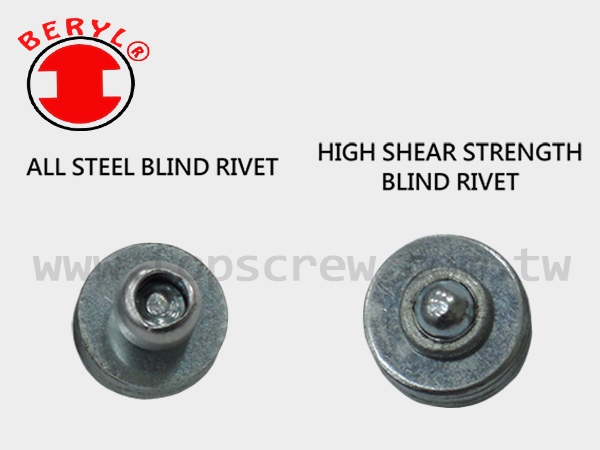 STEEL BLIND RIVET NUT, STAINLESS STEEL BLIND RIVET NUT, STAINLESS STEEL 316 BLIND RIVET,Fasteners, rivet nut, inserts, rivet, nuts, screws, bolts, studs, blind rivet nuts , self-clinching, bolt rivet nuts, e self-driving nut, self-tapping threaded inserts, sex bolts, PEM nut, binding post, Chicago screw, barrel nut, post, special blind rivet, security fastener, blind jack nut, welding stud, hardware parts, construction hardware,BLIND NUT, RIVET NUT, TOP SCREW METAL CORP, TOPS SCREW METAL CORP,INSERT NUT